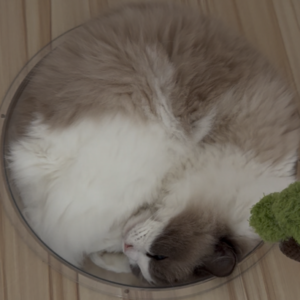 赚不到钱怎么办？