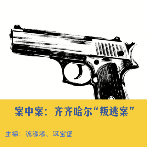 13. 案中案：齐齐哈尔连环杀人案，“枪” 响十六年… episode artwork