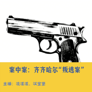 13. 案中案：齐齐哈尔连环杀人案，“枪” 响十六年…