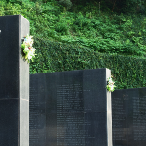 【20】致敬抗日空军，《一把青》《巨流河》里当然不止是儿女私情