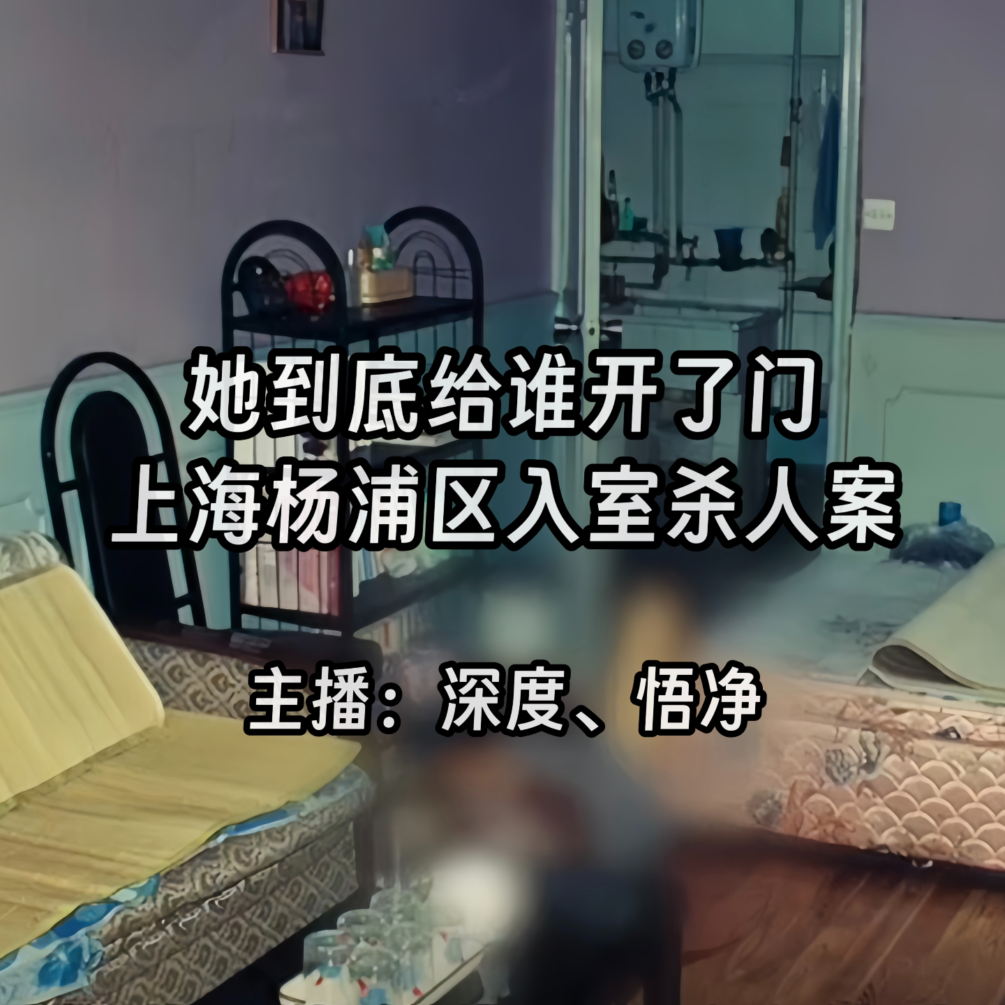 34.她到底给谁开了门：上海杨浦区入室杀人案 episode artwork
