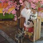 与我之界