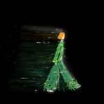 喜欢的昵称不在了