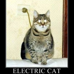 拜登为何要“最后一刻赦全家”这么夸张？