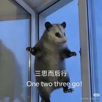 5543666567