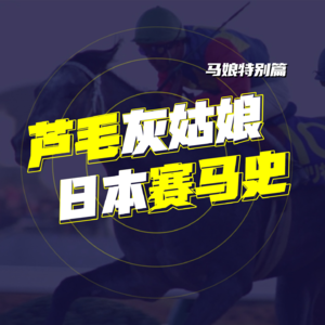 EP35.从芦毛灰姑娘聊聊当时的日本赛马史