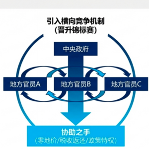 《解码中国经济奇迹背后的“官场与市场”》