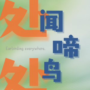 每只黑色鸭子都是一个常见的未解之谜| 002 圆明园