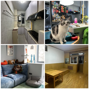 Vol.102 装修第0步:想象你要一个什么样的家