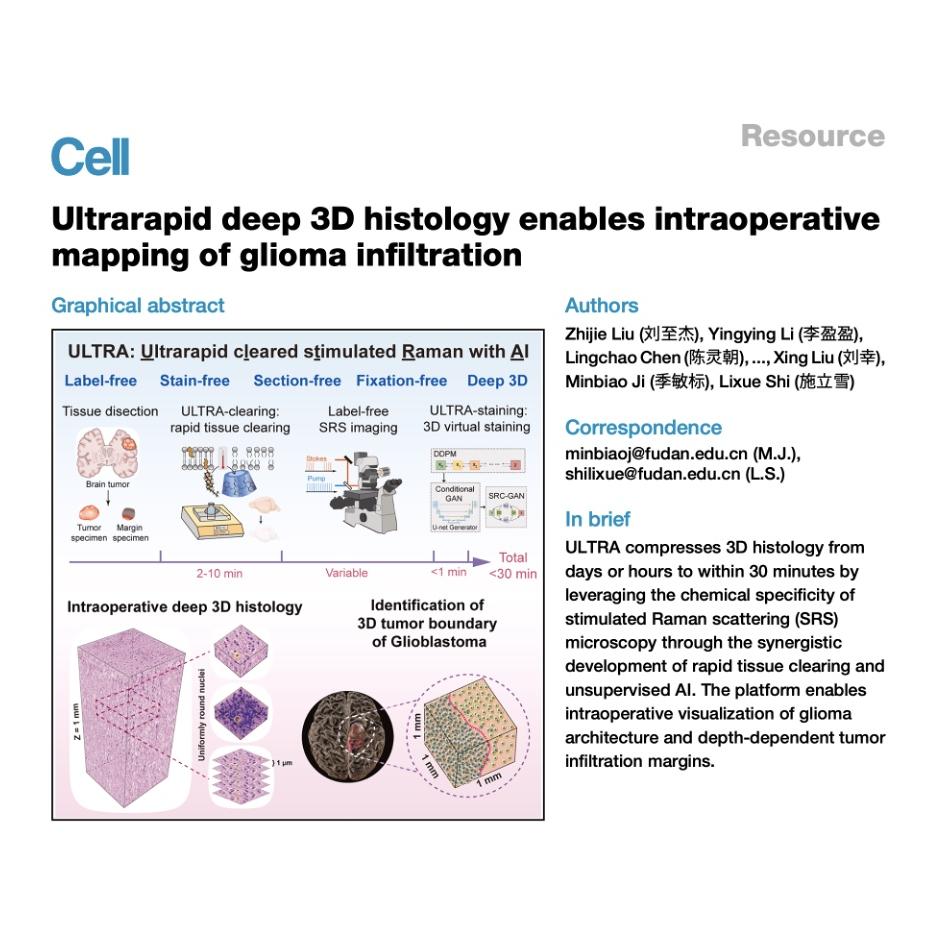 1560-ULTRA: AI-Driven 3D Histology for Glioma Mapping episode artwork