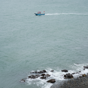 VOL121 我会采更多的雏菊