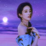 shy_1997