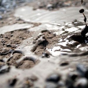 U3E11 | muddle