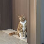 夜航西飞到地球的尽头