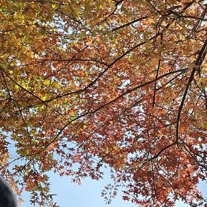 坚持100天提升表达力