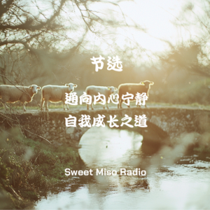 冥想音乐：【节选】通向内心宁静与自我成长之道