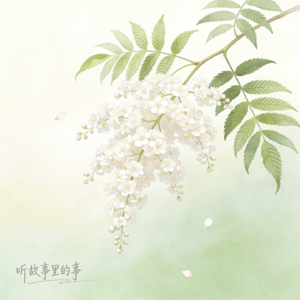 珍珠梅：平凡中的美丽之花