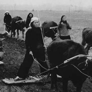 Vol.7 记忆的性别：农村妇女和中国集体化历史