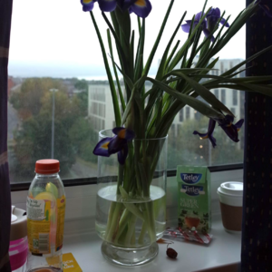 15漫游女子｜伍尔夫上街也要找理由