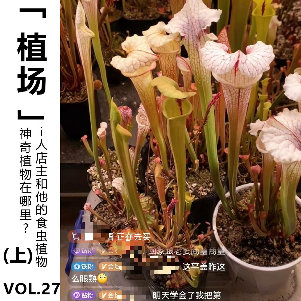cover of episode Vol.27【植场】神奇植物在哪里？i人店主和他的食虫植物 (上)