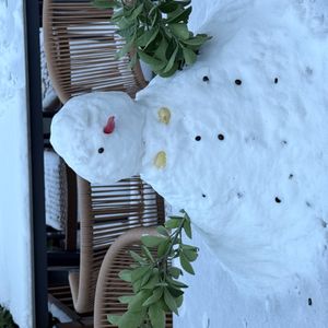 面试问题：组织开展中国审计实践国际研究班