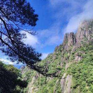 25.上饶｜入世婺源，出世三清，山水皆有茶～