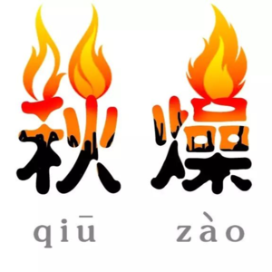 VOL.024拨开秋日健康迷雾,一起解锁养生的智慧之钥!