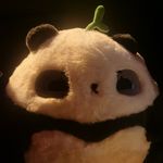 每期不落小熊猫