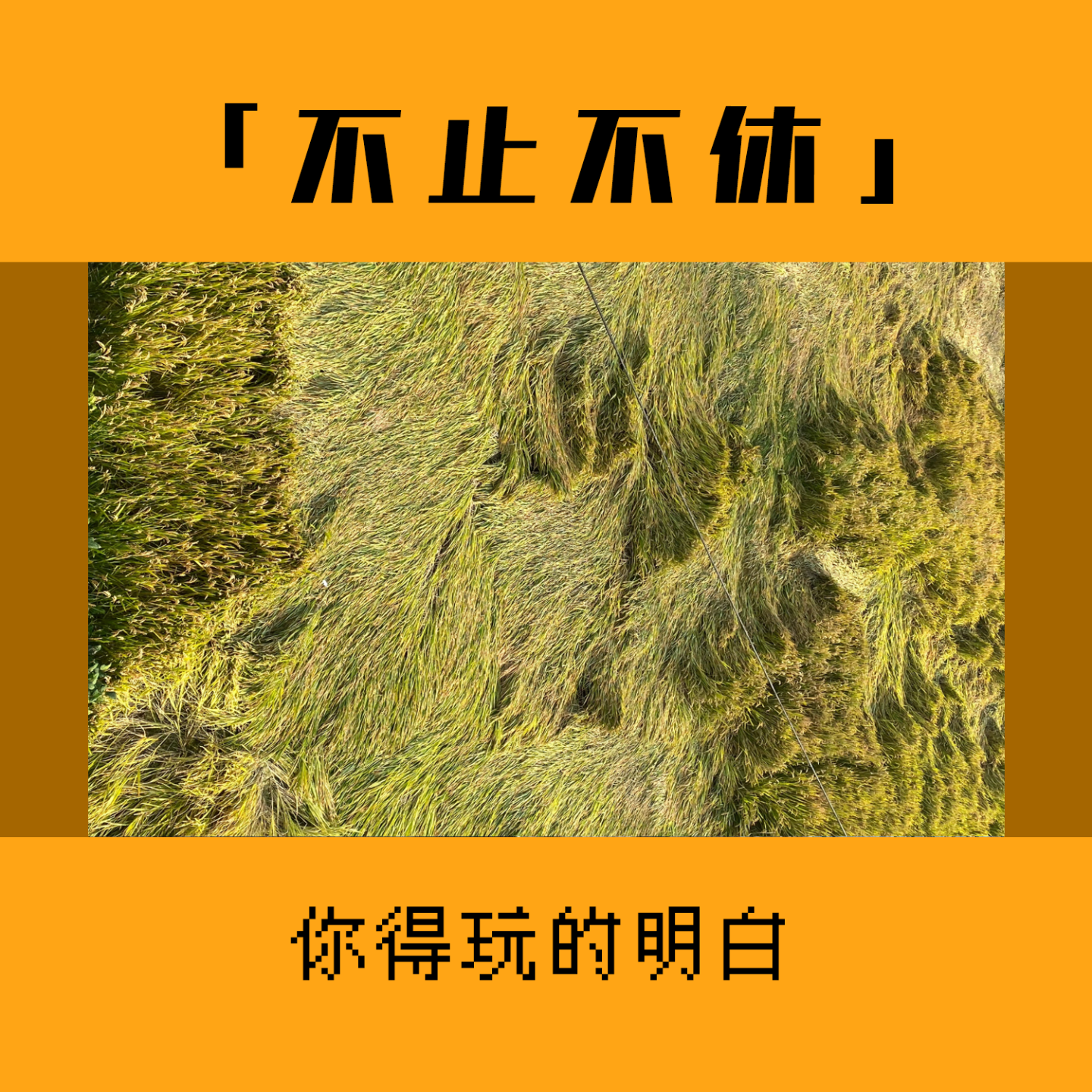 5.大胆摆烂：出门在外，脸皮别带！玩！你就得玩的明白！！！ episode artwork