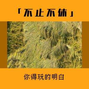 5.大胆摆烂：出门在外，脸皮别带！玩！你就得玩的明白！！！