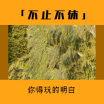 5.大胆摆烂：出门在外，脸皮别带！玩！你就得玩的明白！！！