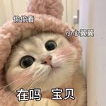 lisa_Ljac