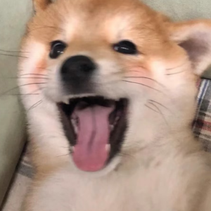 和年下男的一次约会聊天记录