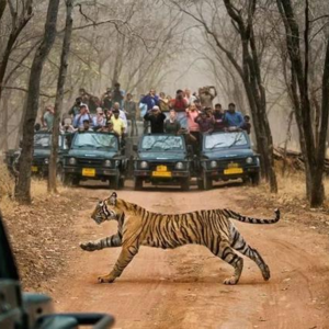 09 相互交流而不责怪、不PUA，我们能做到吗？