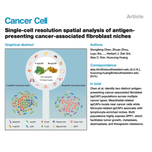 301-apCAF Spatial Niches Define SPP1-Driven Tumor Virulence