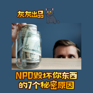 NPD毁坏你东西的7个秘密原因