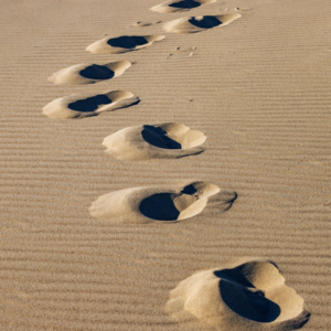 EP91 期货持仓信息提取