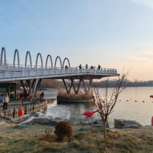 vol.47 从业者从900万降到280万,“大不了卖保险”成笑谈?