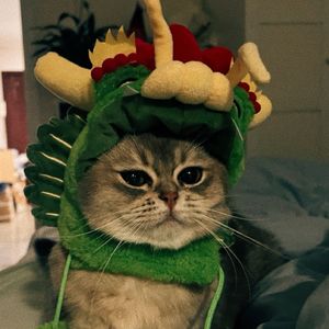 podcaster-avatar