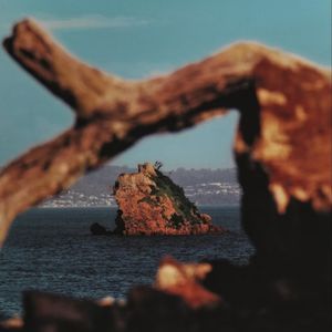 29.简述菲利普斯曲线