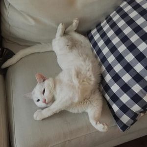 史蒂夫说51期 - 自我封闭带来的安全感只会让你更不安