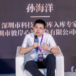 AI疗愈、智能坐垫与硬件创业的真相：对话彼岸心智CEO孙海洋