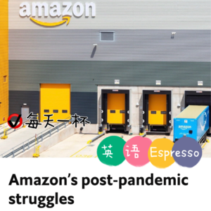 【91】亚马逊的挣扎