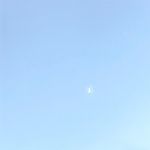 空空脑袋