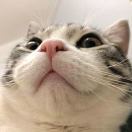 木木然