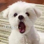 蜜薯板栗奶酪包