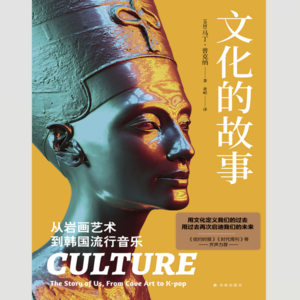 《文化的故事:从岩画艺术到韩国流行音乐》