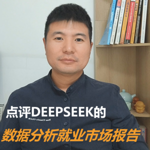 点评DEEPSEEK的数据分析就业市场报告
