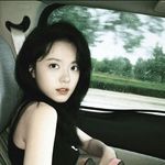 蚊子桑