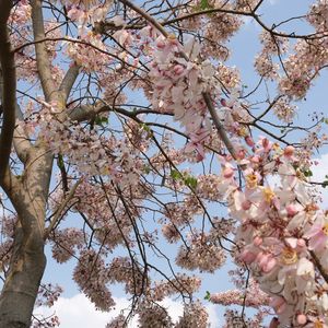 15｜墨江以西，一路吃鸡：从临沧到红河的公路旅行